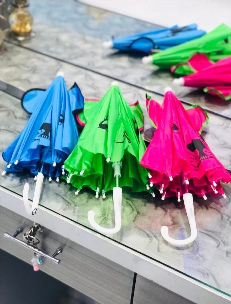 Small Kids Cartoon Umbrella - Image 2